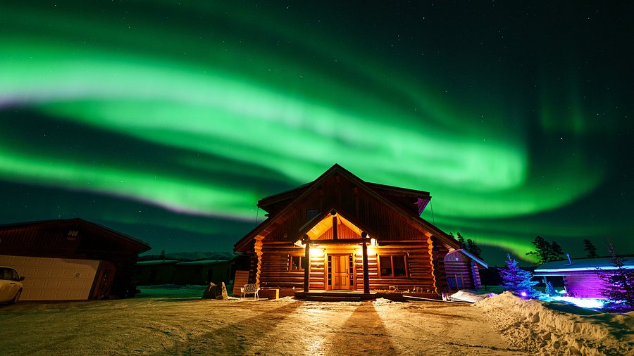 Glass-roofed chalets spaced along a wooded snowy hillside below a dark sky.